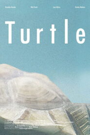 Turtle 2014 on netflix
