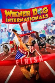 Wiener Dog Internationals 2015 on netflix