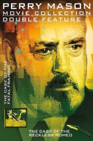 Perry Mason: The Case of the Fatal Framing 1992 on netflix