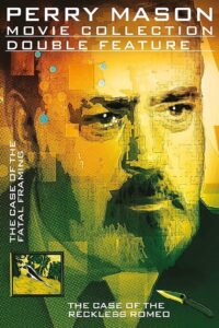 Perry Mason: The Case of the Fatal Framing 1992 on netflix