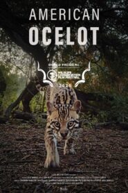 American Ocelot 2021 on netflix
