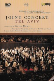 Joint Concert in Tel Aviv 1990 on netflix