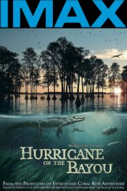Hurricane on the Bayou 2006 on netflix