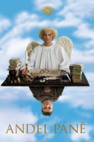 Angel 2005 on netflix