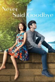 Never Said Goodbye 2016 on netflix