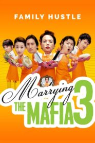Marrying The Mafia 3: Family Hustle 2006 on netflix