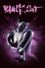 Black Cat 1991 on netflix