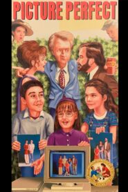 Picture Perfect 1995 on netflix