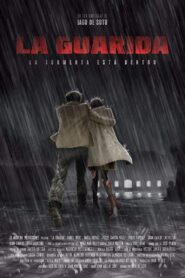 The Den 2018 on netflix