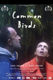 Common Birds 2019 on netflix