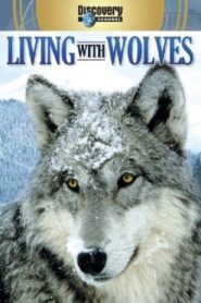 Living with Wolves 2005 on netflix