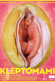 Kleptomom 2017 on netflix