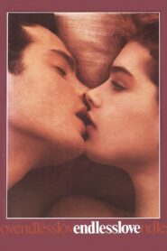 Endless Love 1981 on netflix
