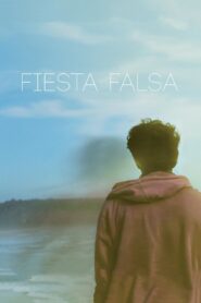 Fake Party 2013 on netflix