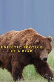 Unedited Footage of a Bear 2014 on netflix