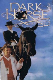 Dark Horse 1990 on netflix