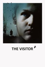 The Visitor 2008 on netflix