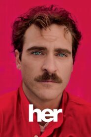 Her 2013 on netflix