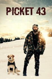 Picket 43 2015 on netflix