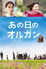 Organ 2019 on netflix