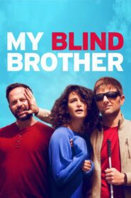My Blind Brother 2016 on netflix