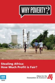 Stealing Africa 2012 on netflix