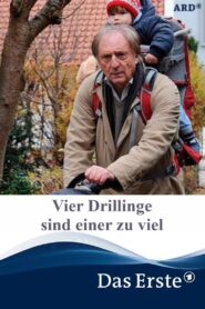 Vier Drillinge sind einer zu viel 2014 on netflix