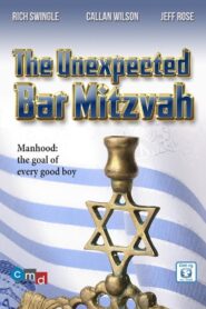 The Unexpected Bar Mitzvah 2015 on netflix