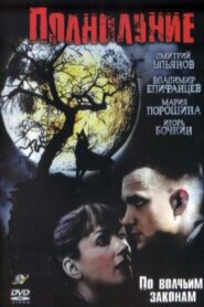 Полнолуние 2005 on netflix