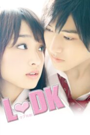 L♡DK 2014 on netflix