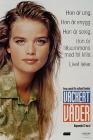 Beautiful Weather 1996 on netflix