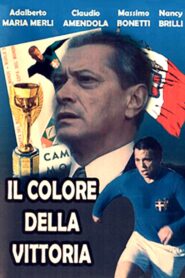 Il colore della vittoria 1990 on netflix
