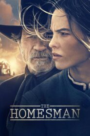 The Homesman 2014 on netflix