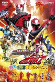 Shuriken Sentai Ninninger vs. Kamen Rider Drive: Spring Break Combined Special 2015 on netflix
