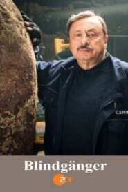 Blindgänger 2015 on netflix