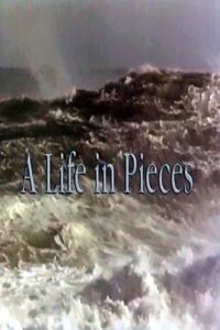 A Life In Pieces 1990 on netflix