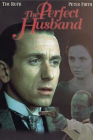The Perfect Husband 1993 on netflix