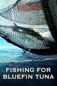 Full Tuna 2011 on netflix