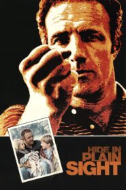 Hide in Plain Sight 1980 on netflix