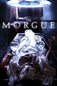 The Morgue 2008 on netflix