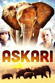 Askari 2001 on netflix