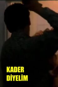 Kader Diyelim 1995 on netflix
