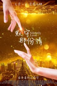 Silently Love 2015 on netflix