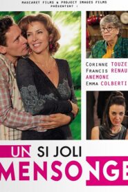Un si joli mensonge 2014 on netflix