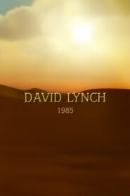 David Lynch: 1985 2005 on netflix