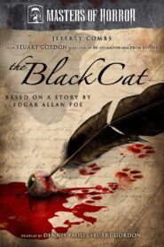 The Black Cat 2007 on netflix