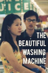 The Beautiful Washing Machine 2004 on netflix