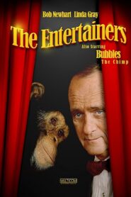 The Entertainers 1991 on netflix