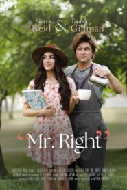 Mr. Right 2023 on netflix
