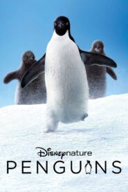 Penguins 2019 on netflix